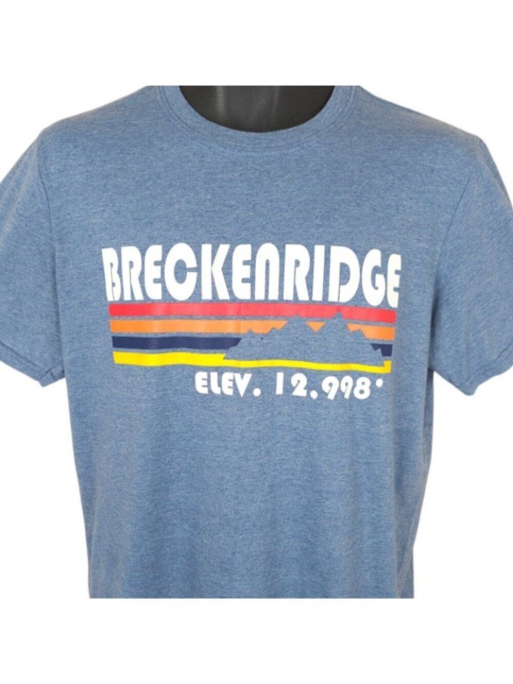 Breckenridge T Shirt Mens Size Medium Blue Colorado Travel Destination Tee